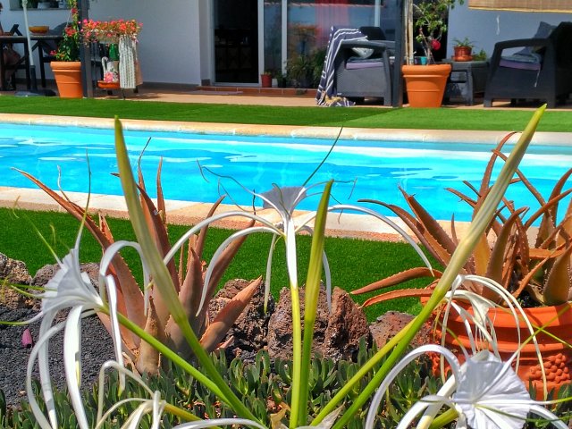 jardin